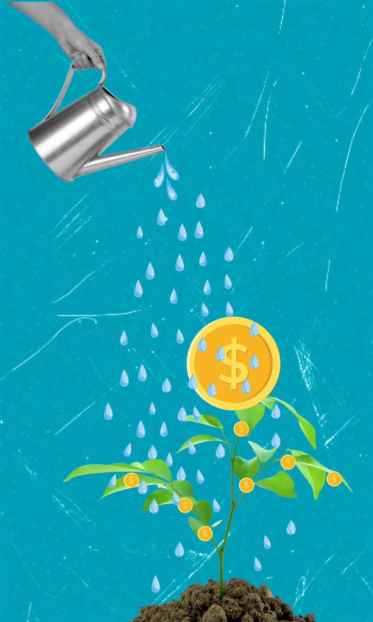 Hand pours water on plant producing orange coins